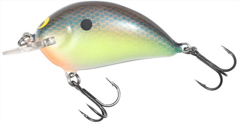 New Bagley Shallow Sunny B (Blue Chartreuse Shad) photo copyright Bagley Bait taken at  and featuring the Fishing boat class