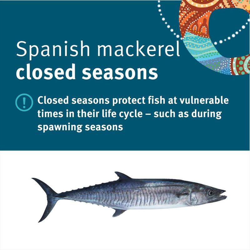 Barra Season is open - photo © Fisho's Tackle World