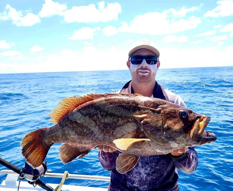Dylan with a nice comet cod destined for the table - photo © Fisho's Tackle World
