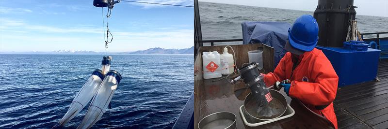 Left: Bongo nets used to collect zooplankton samples. Right: A scientist collects a zooplankton sample from the codend of a bongo net - photo © NOAA Fisheries