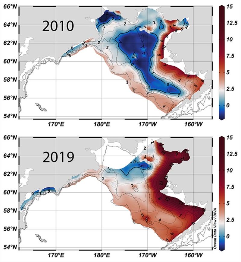 Top: During a cold year, seasonal sea ice creates the cold pool, a body of frigid bottom water (<2 °C, shown in blue) that acts as a barrier to many species from the south and nearshore. Bottom: Warm conditions and reduced sea ice shrinks the cold pool - photo © NOAA Fisheries