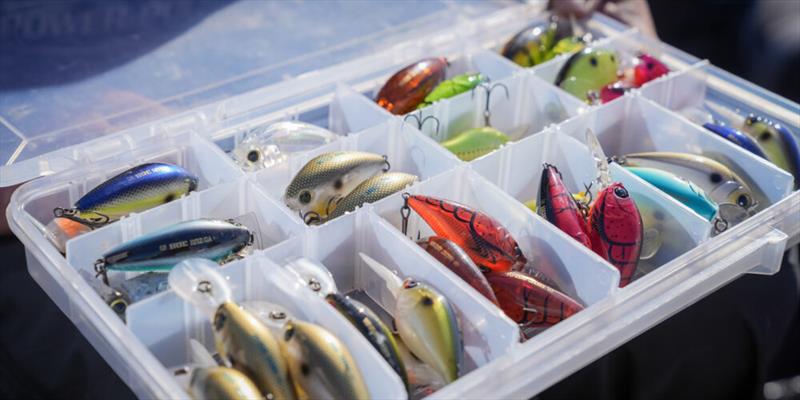 Epic Baits: The Art Of Finesse - Fishing Tackle Retailer - The