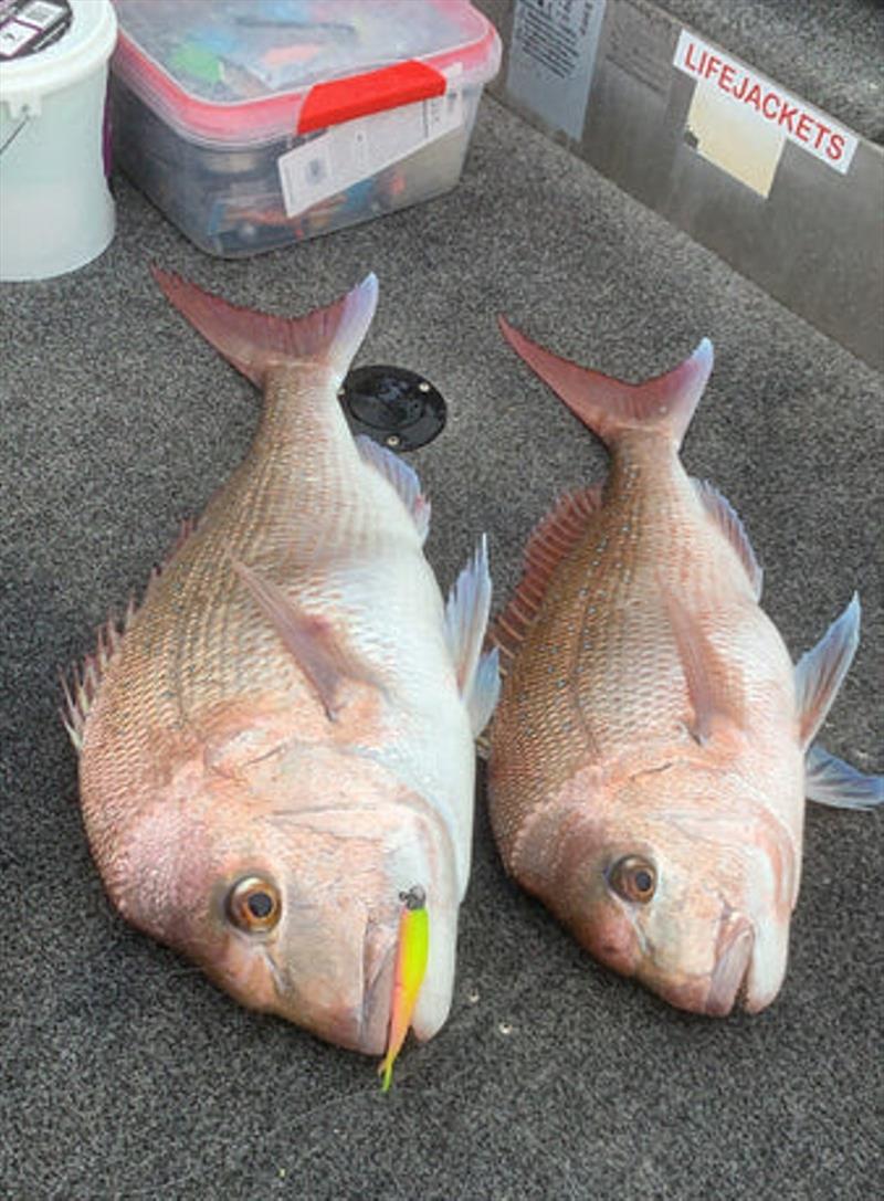 Snapper numbers will increase as we head into winter. Your chances just improved dramatically with this latest cold snap photo copyright Fisho's Tackle World taken at  and featuring the Fishing boat class
