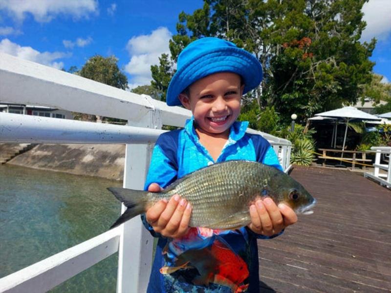 Kingy with a solid bream from Beeli creek. Bream numbers should be on the increase in the weeks to come photo copyright Fisho's Tackle World taken at  and featuring the Fishing boat class