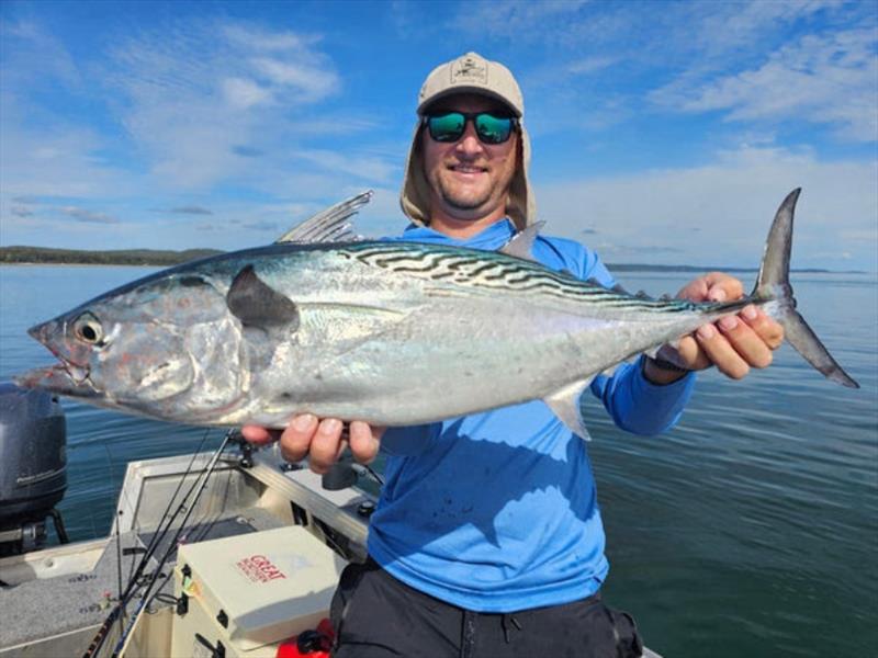 Mac Tuna can be found throughout our inshore bays waters this time of year only being tempted with small profile metals, soft plastics and fly photo copyright Fisho's Tackle World taken at  and featuring the Fishing boat class
