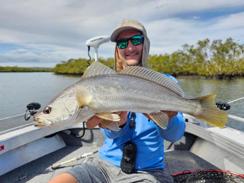 Like a jew, only smaller. This time of year in our rivers, creeks and island ledges fish this size and larger can be expected photo copyright Fisho's Tackle World taken at  and featuring the Fishing boat class