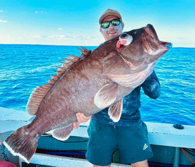 Nice bar cod Deeg. How long did it take the clean the slime out of your box photo copyright Fisho's Tackle World taken at  and featuring the Fishing boat class