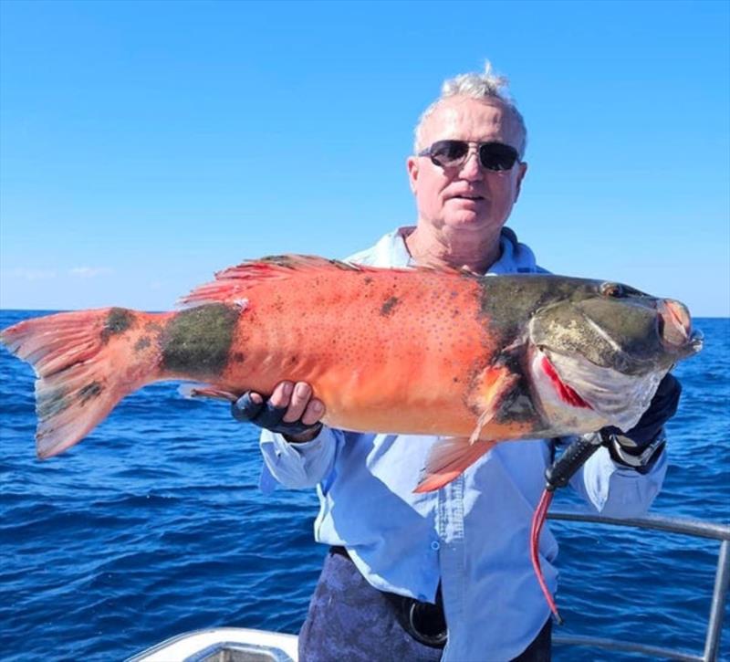 Wayne again with a stonker rambo trout caught north of the bay photo copyright Fisho's Tackle World taken at  and featuring the Fishing boat class