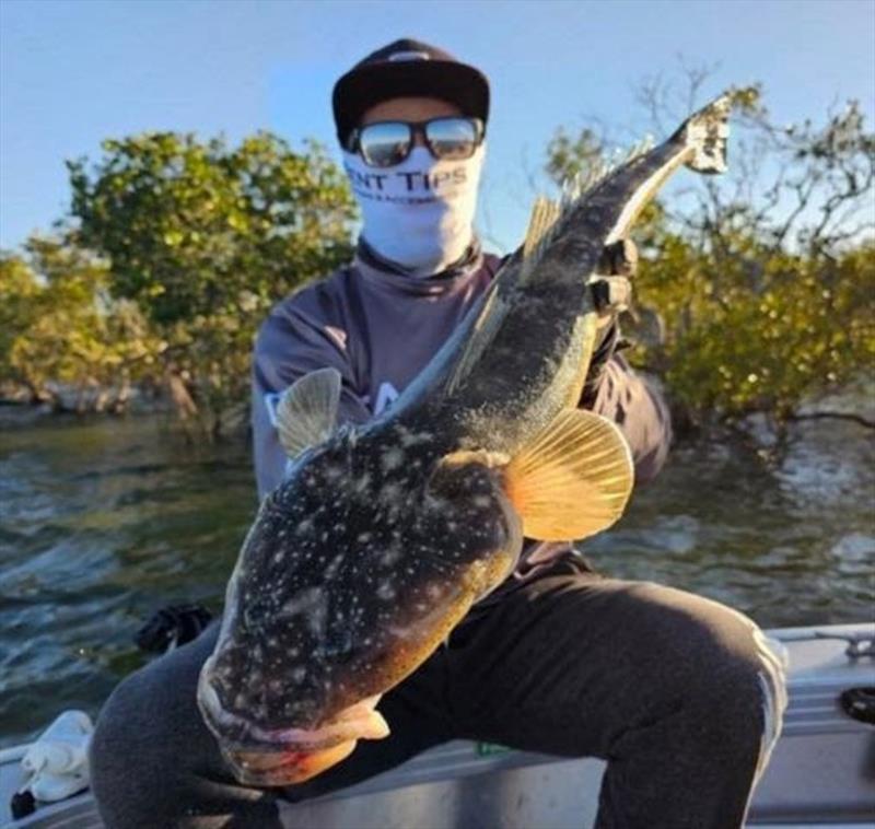 Ripper flatty Dan. Gotta love skinny water fishing this time of year photo copyright Fisho's Tackle World taken at  and featuring the Fishing boat class