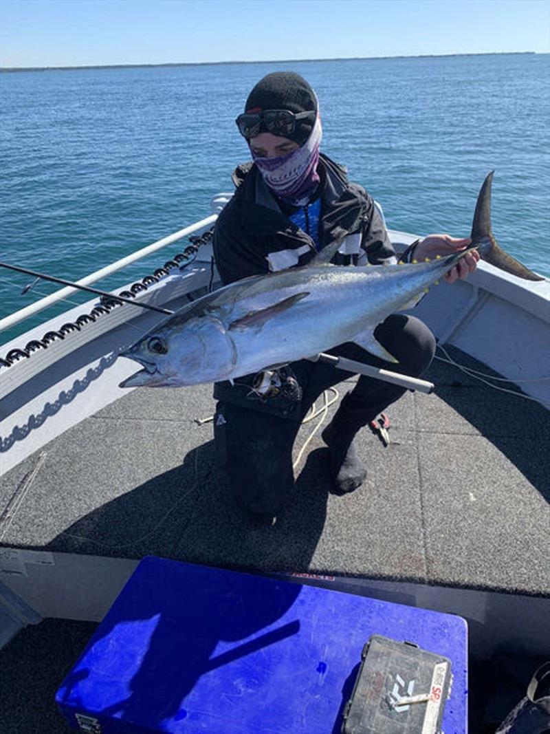 Still plenty of mixed tuna species throughout our bays waters. Nathan with a nice longtail he tempted with a stickbait - photo © Fisho's Tackle World