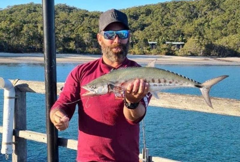 King Fisher is fishing well again, Luke with a typical sized school mackerel - photo © Fisho's Tackle World
