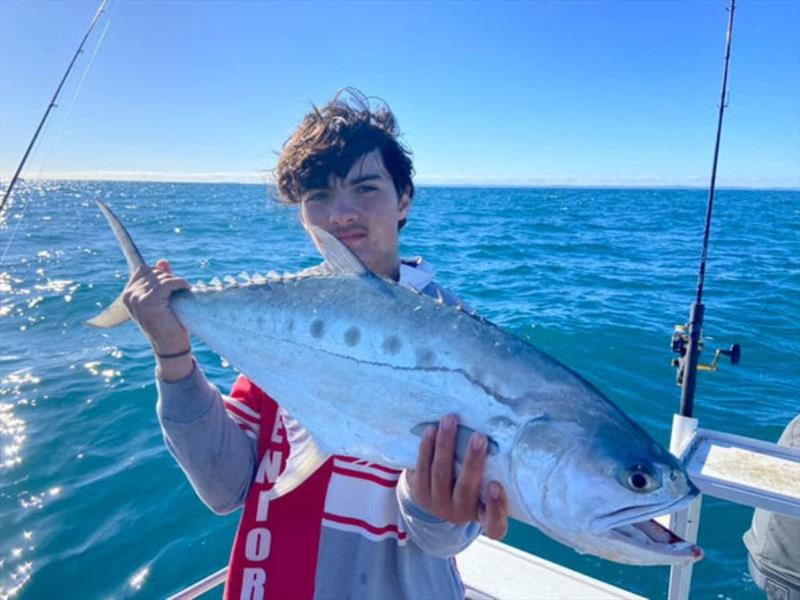 Queenies are a consistent feature of our inshore fishery. At their best over the bigger tides. Nice fish Brock - photo © Fisho's Tackle World