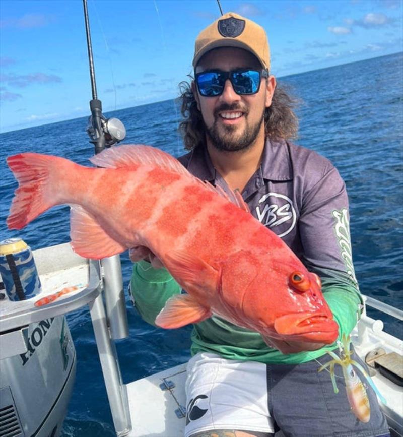 Nomad's fantastic Squidtrex lures are slaying the reefies. Ray scored this nice trout recently - photo © Fisho's Tackle World