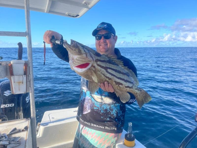 Comet cod are another very tasty deep water critter you can catch offshore. Bet you relished the meals from that one Chris - photo © Fisho's Tackle World