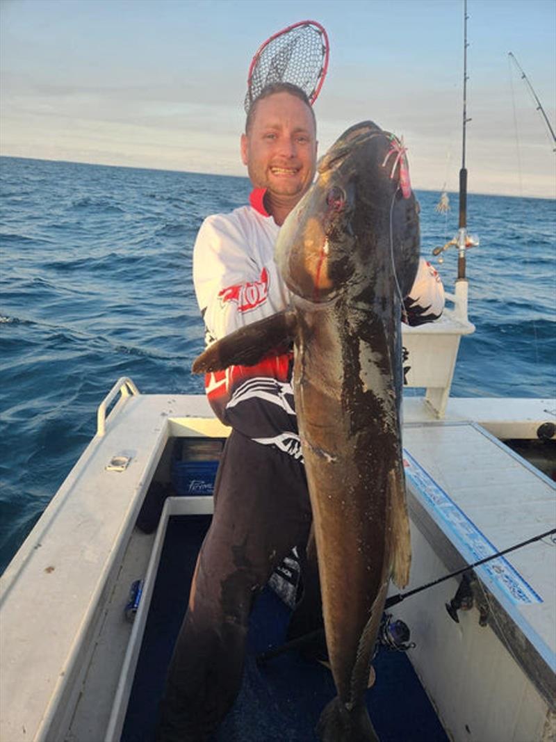 Ado Martin straining under the load of a big cobe. These bruisers will be cruising bay waters for the next few months - photo © Fisho's Tackle World