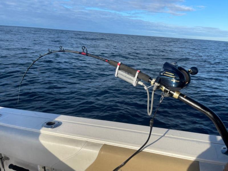 Live Fibre bent-butt rods are particularly effective in deeper waters. The clamp-on lithium battery makes the task much easier, and the safety lanyard is a good idea - photo © Fisho's Tackle World