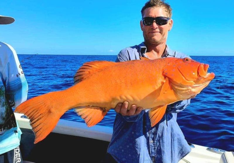 A quality bar-cheeked coral trout caught aboard Hot Reels - photo © Fisho's Tackle World