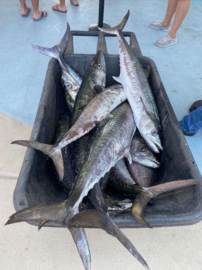 Record-Breaking 2023 Old School Kingfish Shootout photo copyright Yellowfin taken at  and featuring the Fishing boat class