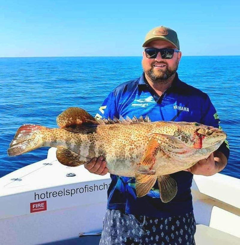 Big cod are common bycatch when targeting trout and other reefies. Releasing them helps preserve our reefs - photo © Fisho's Tackle World