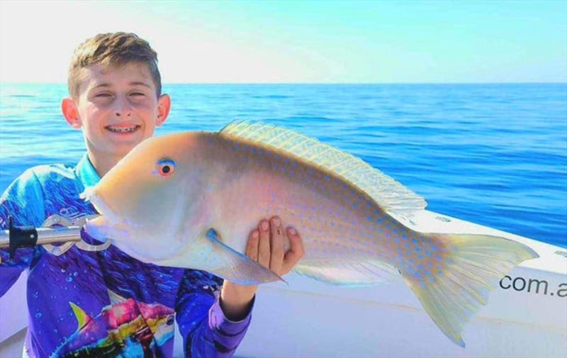 This young fella was chuffed with his tuskfish caught on a recent Hot Reels charter - photo © Fisho's Tackle World