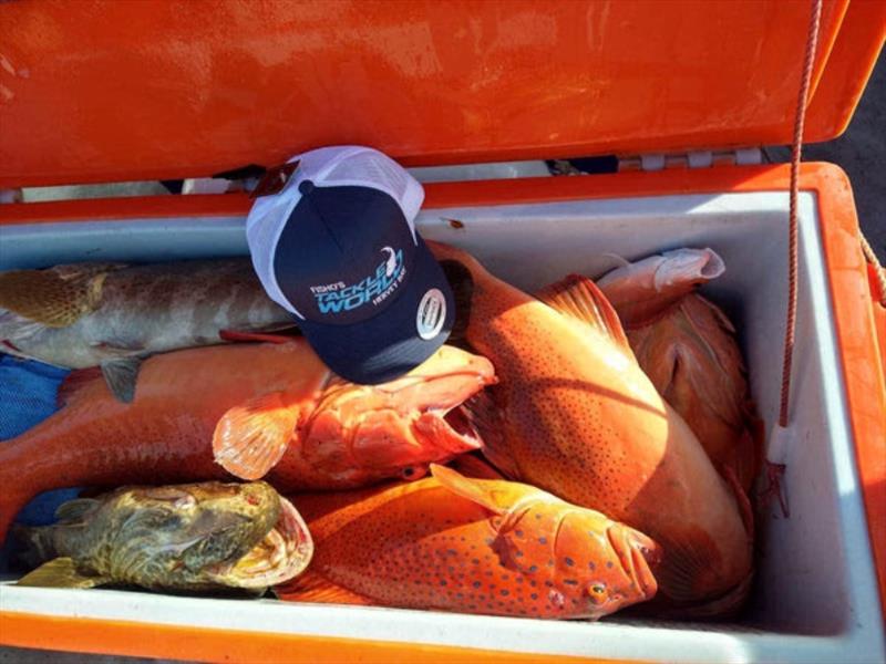 A nice box of fish for the crew aboard Truansea Charters out of Bundy. The cap just makes it look even better - photo © Fisho's Tackle World