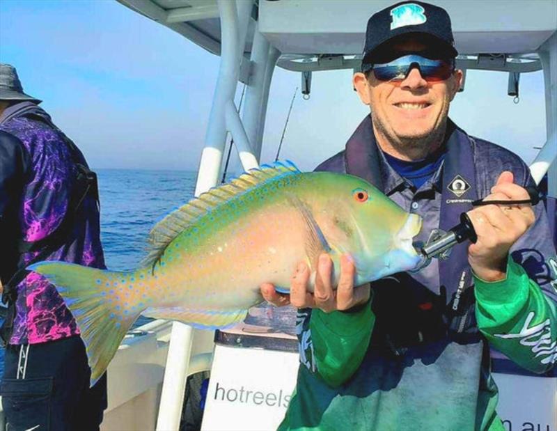 Tuskies are certainly photogenic, and tasty too - photo © Fisho's Tackle World