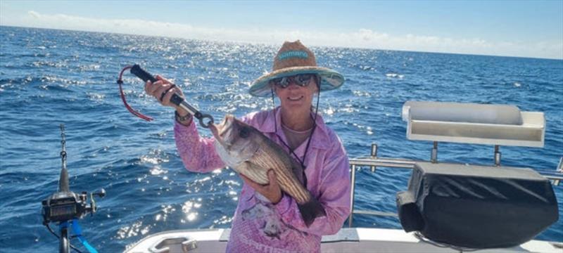 Wayne's better half, Sue Parr, with a decent pearlie from offshore - photo © Fisho's Tackle World