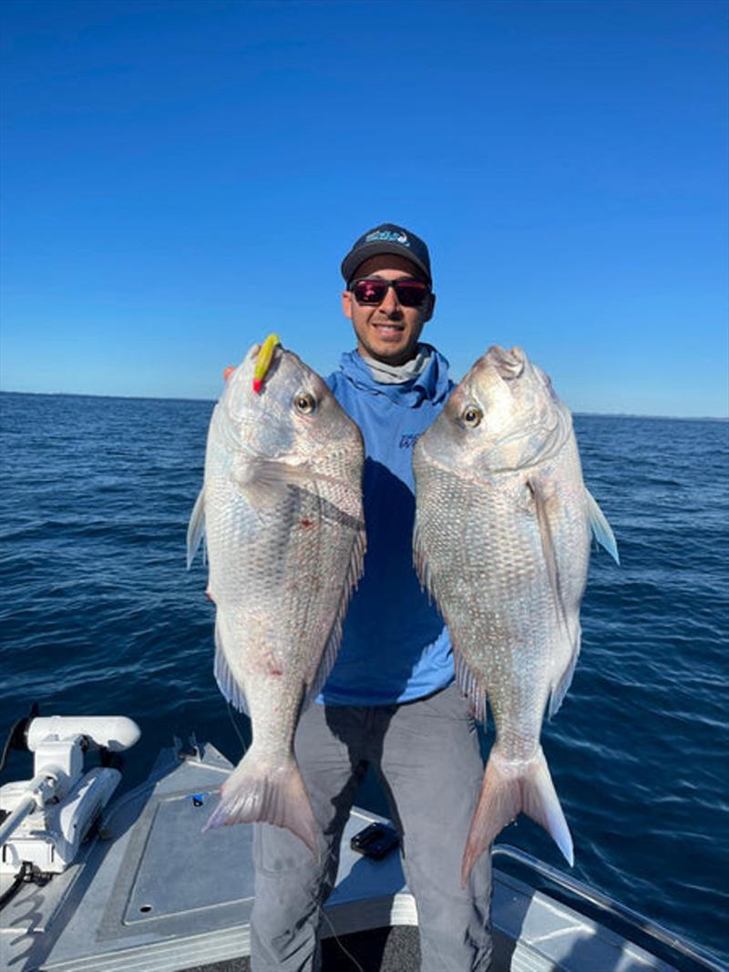 A couple of 5kg  snapper from a recent session in Platypus Bay. Plastics dominate over bait during daylight up that way - photo © Fisho's Tackle World