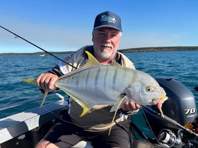Ben continues to have fun with the goldies hanging around the inshore shipwrecks - photo © Fisho's Tackle World