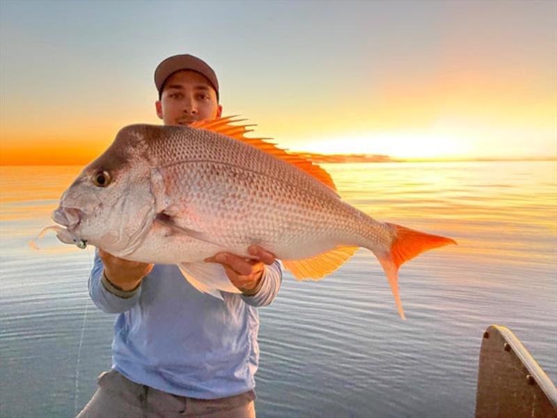 A Cast Apex 4.1in softie in casper colour was too tempting for Dane's best snapper of 83cm from a recent session - photo © Fisho's Tackle World