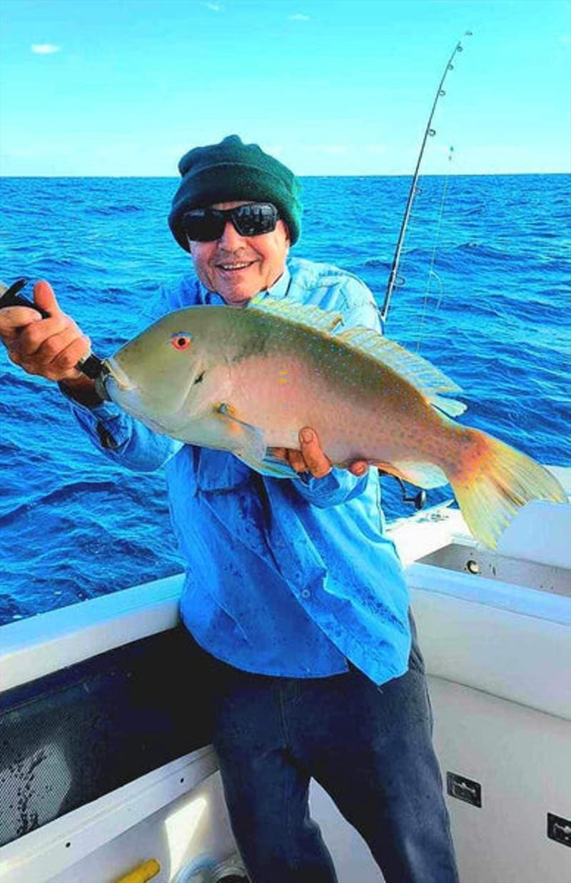 A cocky parrot (venus tuskfish) delighted this Hot Reels charter customer recently - photo © Fisho's Tackle World