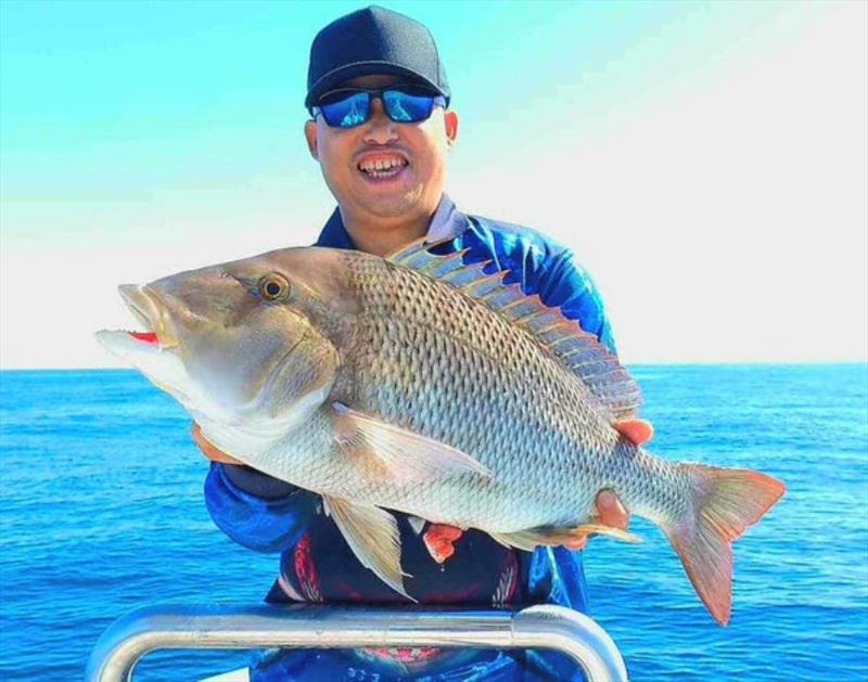 Grass sweetlip are a mainstay of the northern bay reefs. Fish the fringes and it can be one after the other - photo © Fisho's Tackle World