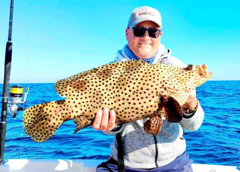 Brent had to let this barramundi cod go that he caught on a day out with Hot Reels Charters. They are a no-take species and very rare these days - photo © Fisho's Tackle World