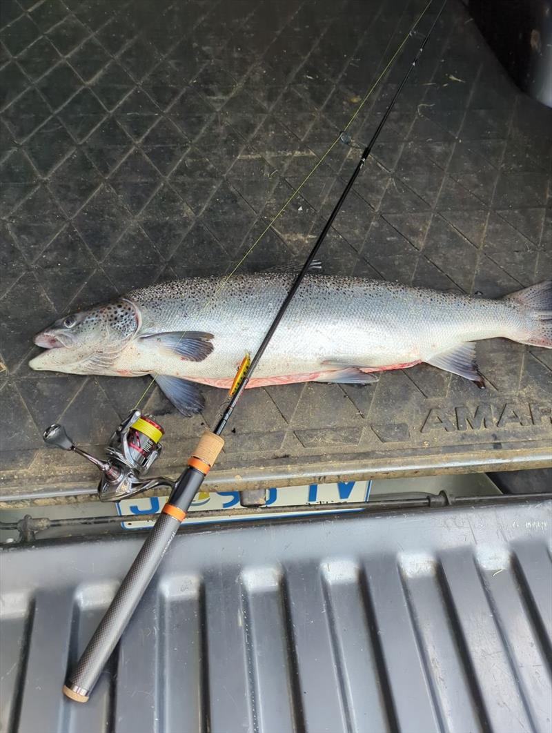 Healthy atlantic salmon caught by Justin Watts in the Lower Huon - photo © Spot On Fishing Hobart