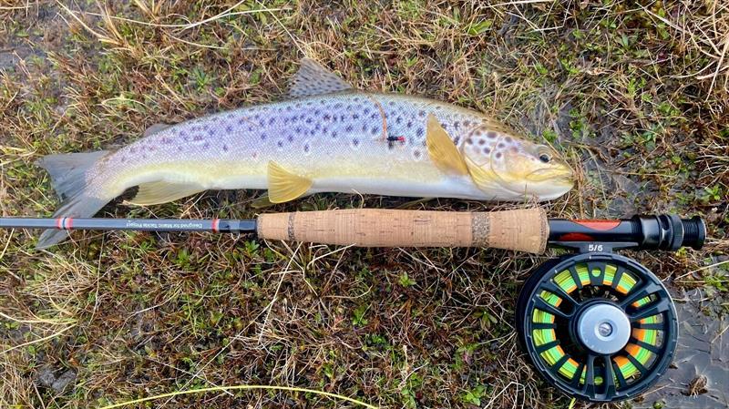 A nice tailing fish from Echo - one of several late in the day - photo © Spot On Fishing Hobart
