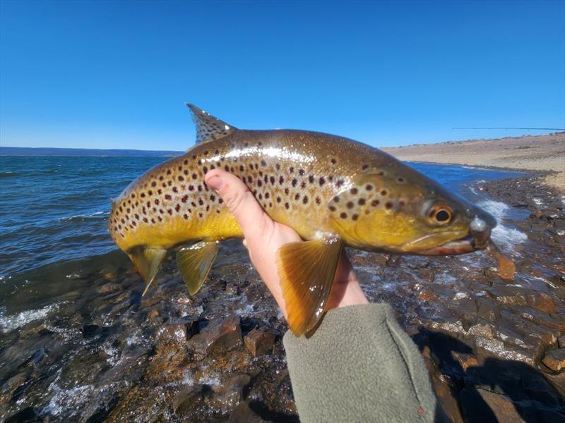 A lake that is dominated by brown trout but also has a rainbow population - photo © Spot On Fishing Hobart