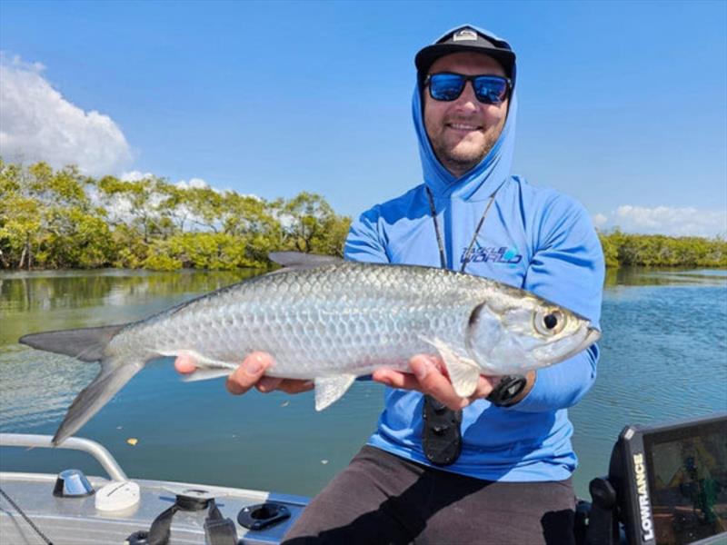 Tarpon are great fun for the kids (and the big kids like Jacko). Take care when handling them though, as they are masters at throwing hooks your way - photo © Fisho's Tackle World