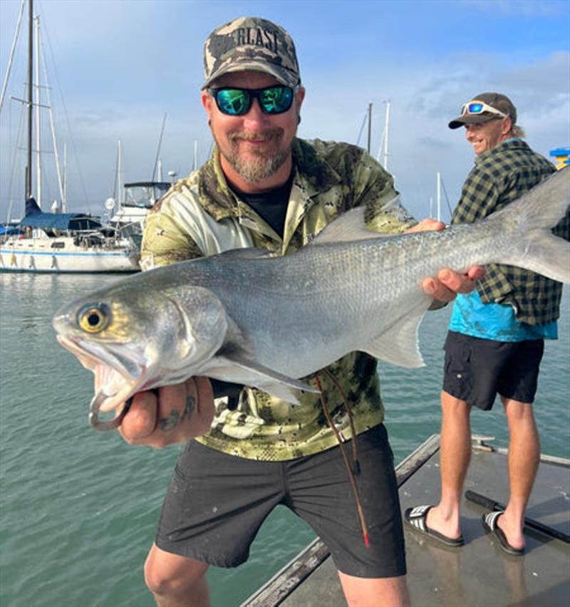 Peter with a blue salmon sight-fished from the harbour pontoon whilst launching or retrieving the boat - photo © Fisho's Tackle World