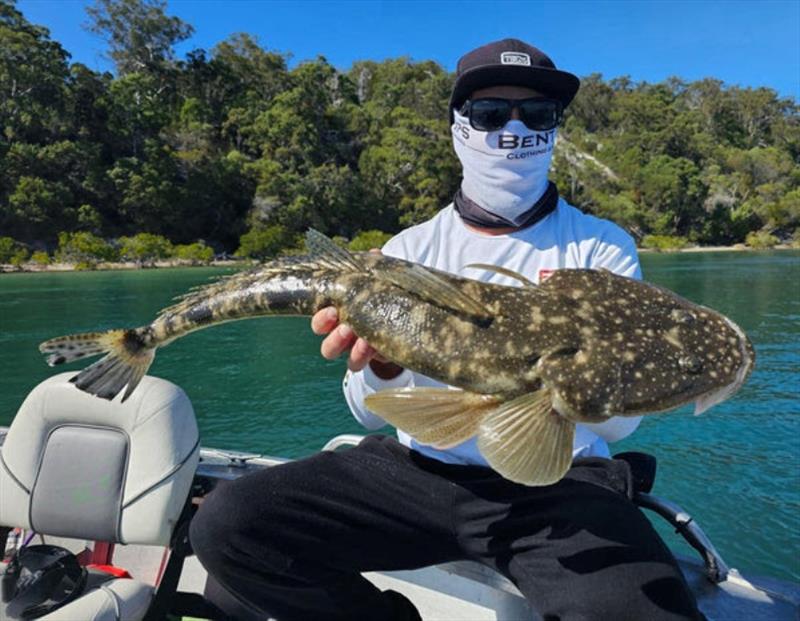 Jacko's mate, Daniel, with a solid flathead just barely under the legal maximum size. It swam away healthy to continue the annual spawn - photo © Fisho's Tackle World