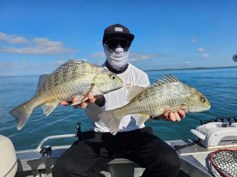 Daniel enjoyed a day out with Jacko catching grunter. Great fun fish and much better table fare than some of their neighbours in our estuaries - photo © Fisho's Tackle World