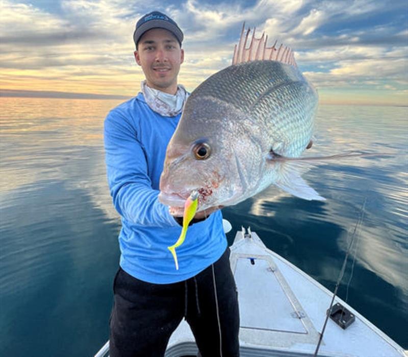 Get out this week when the weather improves and get amongst the bay's snapper before they move on. The weather should be this good mid-week - photo © Fisho's Tackle World