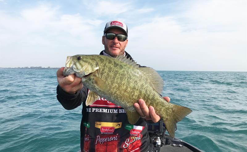 Mega-quality smallmouth in good numbers are part of Lake St. Clair's allure this time of year - photo © Major League Fishing
