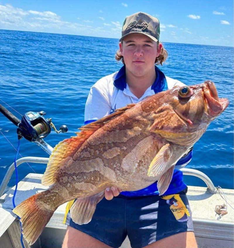 Deep dropping can result in a few varieties of cod, none better eating than comet cod. Declan hauled this one up a fortnight ago - photo © Fisho's Tackle World