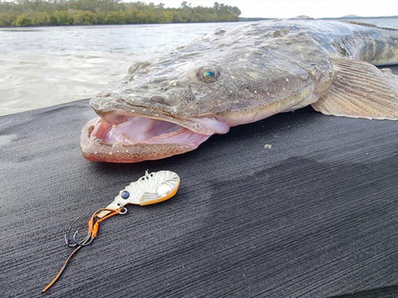 A sensational photo of a quality flatty on TT's new Switch Prawn blade. We are fully stocked if you wish to put some to the test - photo © Fisho's Tackle World
