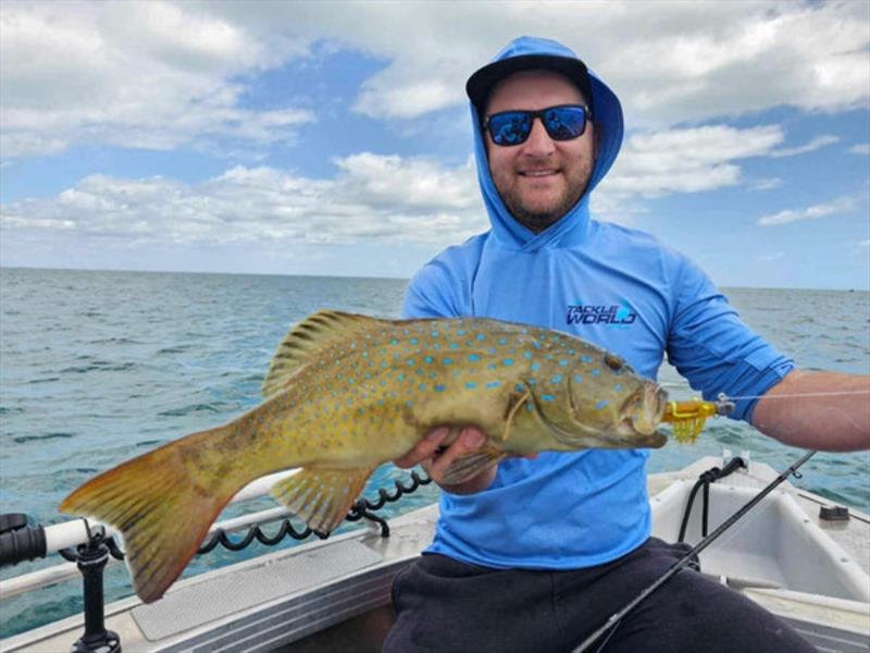 Staff member, Jacko, with a lovely shallow reef bar cheek. The new Chartreuse Ginger Squid UV coloured Live Shrimp is a winner - photo © Fisho's Tackle World