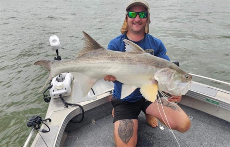 Catching large sambos is really quite easy. Staff member, Jacko's took a soft vibe hopped past fish spied on the sounder photo copyright Fisho's Tackle World taken at  and featuring the Fishing boat class