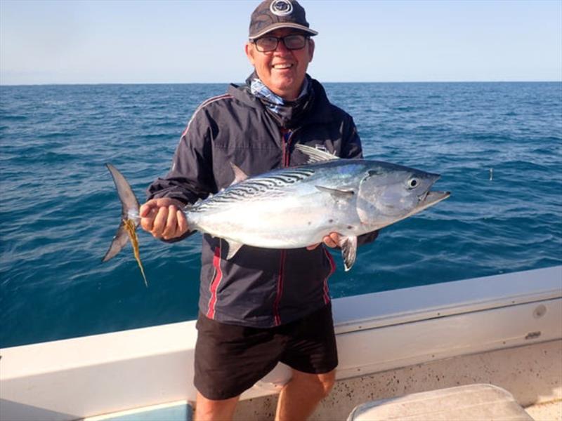 Mack tuna such as this one of James Kelly's can be found right across the bay. The sharks aren't too bad as yet, so make the most of the current scene - photo © Fisho's Tackle World