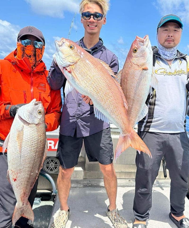 Greg Pearce from Double Island Point Fishing Charters put his clients onto a great haul of sizeable rosy jobfish. The closure is over, so they can be targeted again - photo © Fisho's Tackle World