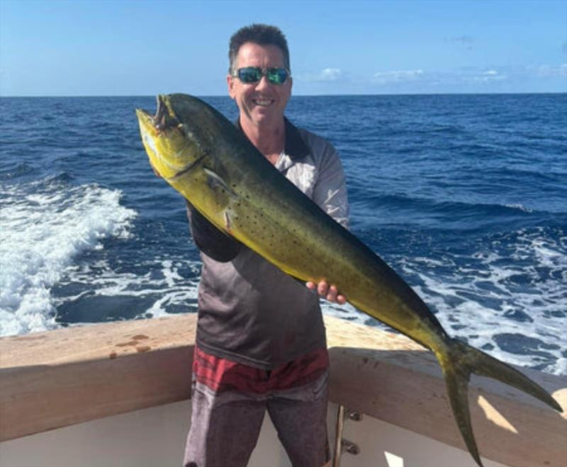 Otto Volz again with a female mahi mahi (dollie). Compare the head and shoulder shape and you can see the difference quite clearly - photo © Fisho's Tackle World