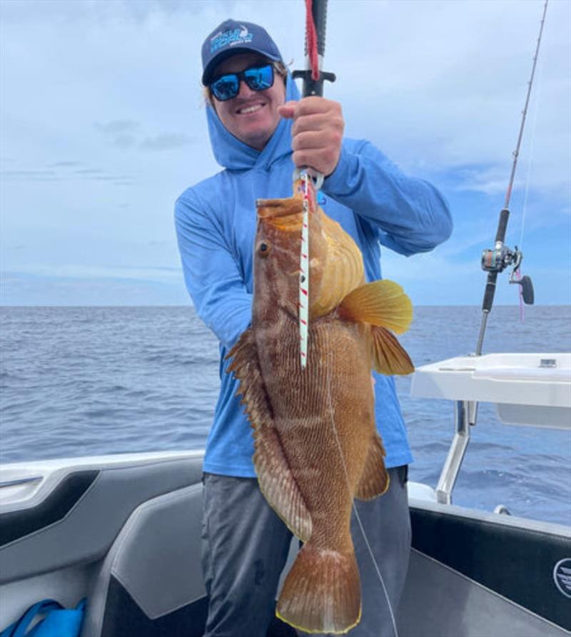Tom jigged up a plump brown Maori cod offshore last weekend. The fish bit well for any crews that made the effort - photo © Fisho's Tackle World